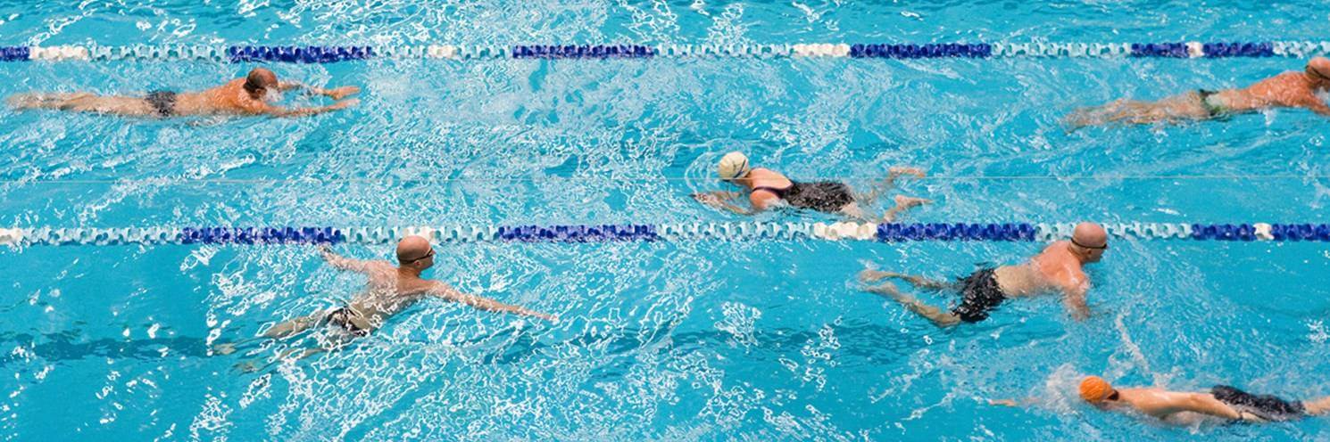 Swimmers in pool lanes